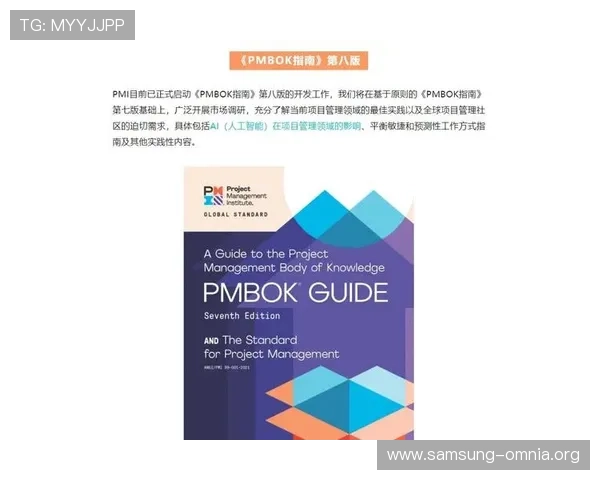 提升国际PM项目管理能力的实用技巧与行业最佳实践指南 提升国际PM项目管理能力的实用技巧与行业最佳实践指南